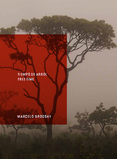 Tiempo de arbol - Brodsky, Marcelo